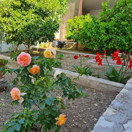 Steffi * プレマントゥーラ