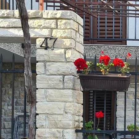 Steffi * プレマントゥーラ