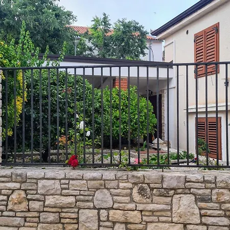 Steffi プレマントゥーラ