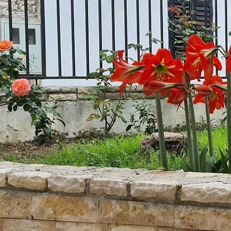 Steffi דירה *