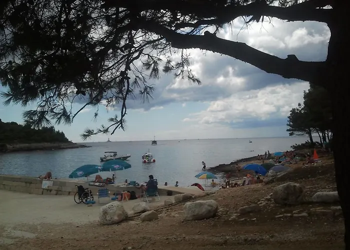 Appartement Steffi *